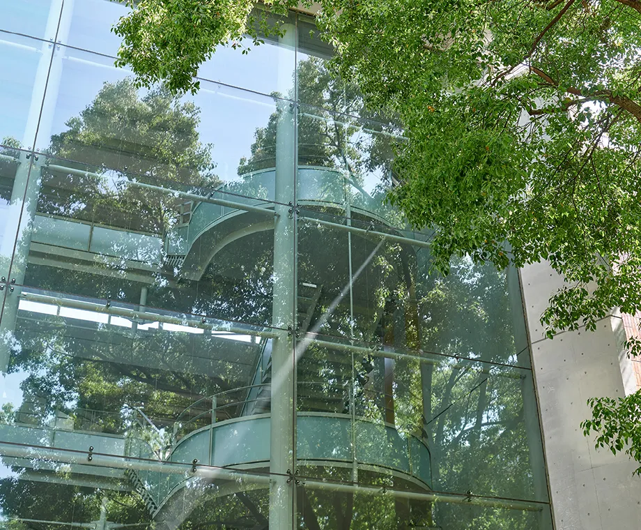 CUCキャンパスの今 06