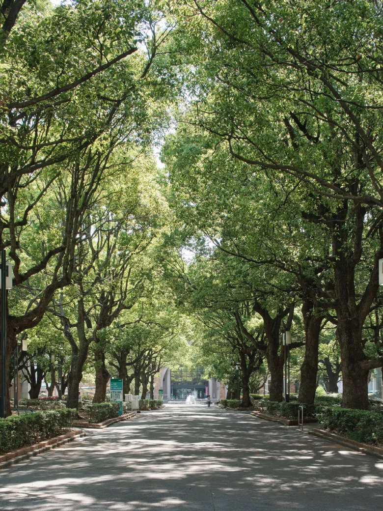 千葉商科大学