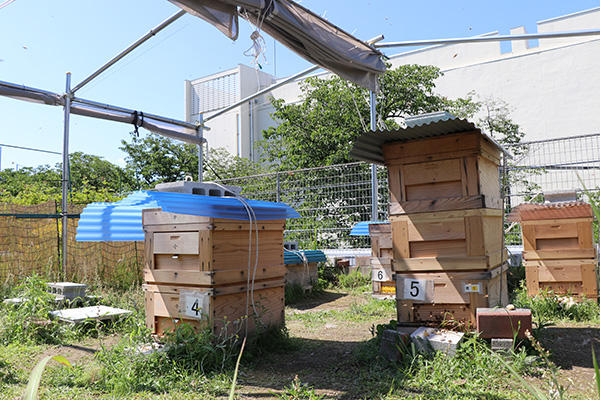 地域への取組み