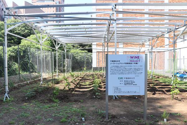 地域への取組み