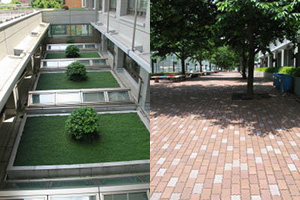 屋上緑化、インターブロッキングブロック