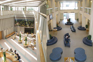 トップライト、ハイサイドライトの採用