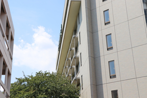 バルコニー庇(ひさし)/袖壁