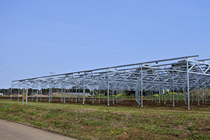 千葉商科大学 大木戸ソーラー発電所