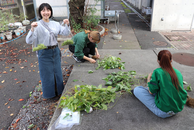 UD FARM活動記録 vol.15