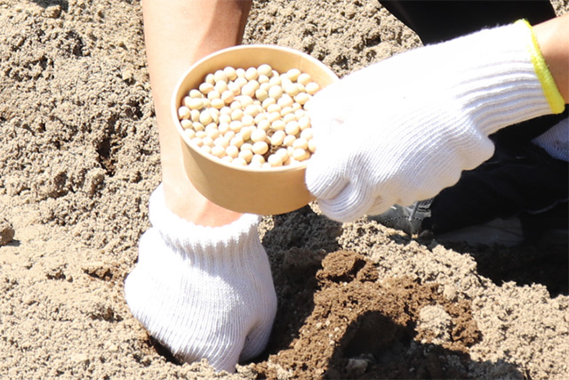 KURKKU FIELDSの「小糸在来」を使用した大豆商品を開発しよう(9/1・9/26)