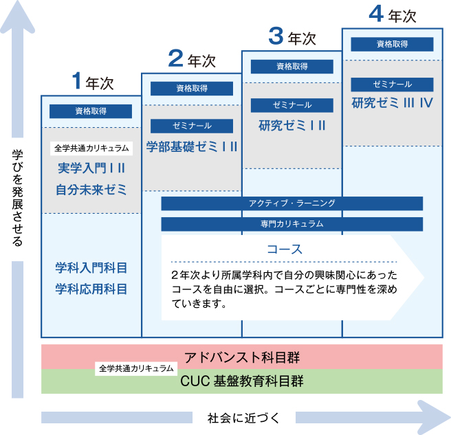 4年間の学習ステップ