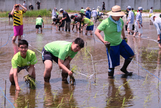さんむ田んぼアートProject