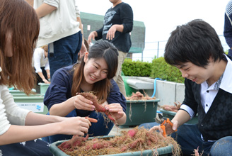 銀座芋ROCKプロジェクト