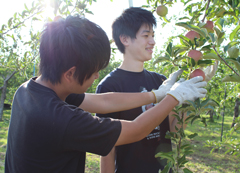 弘前でのフィールドワーク