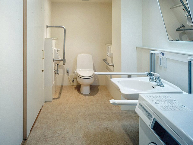 Lavatory for the Disabled