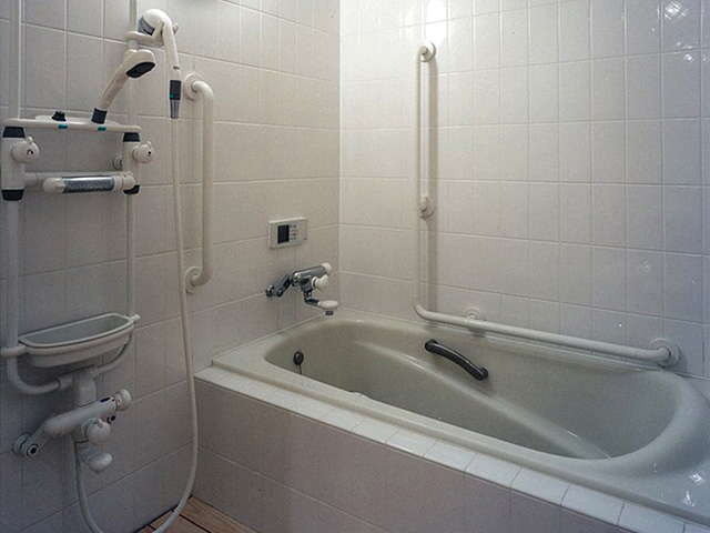 Bathroom for the Disabled