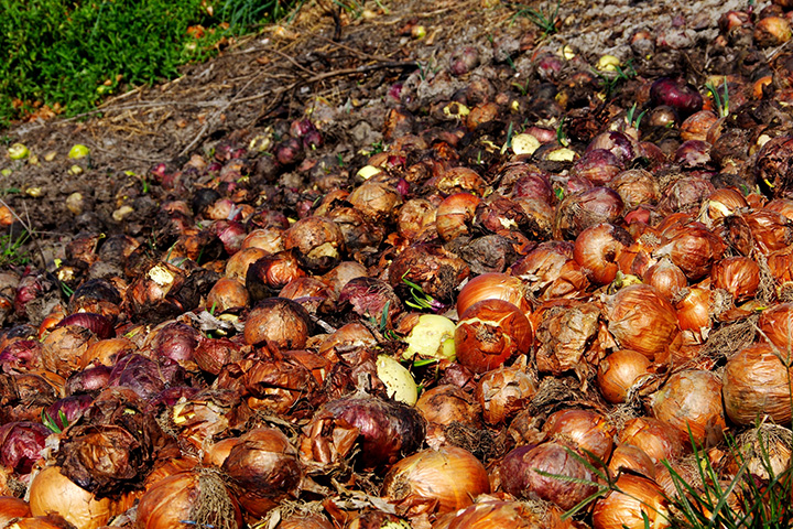 食品ロスをなくそう