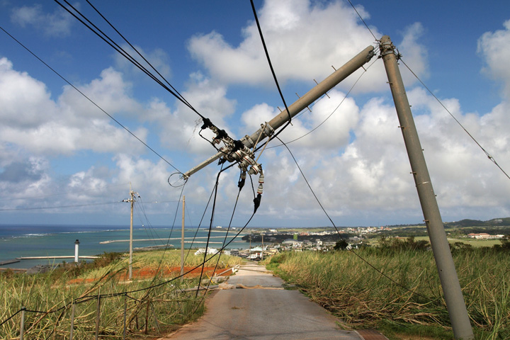 小学生が大学の先生に質問