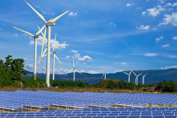 小学生が大学の先生に質問