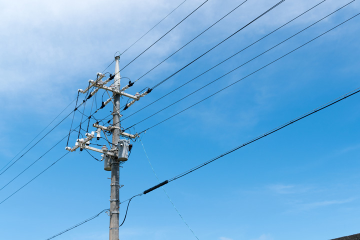 小学生が大学の先生に質問