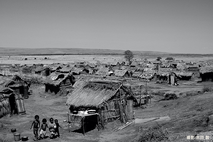 小学生が大学の先生に質問