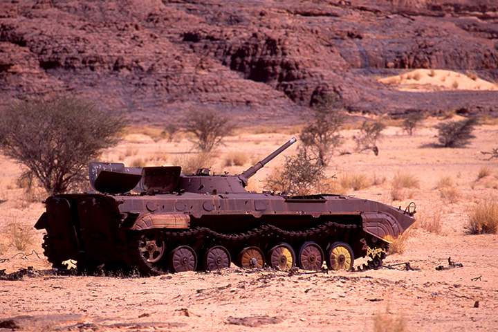 小学生が大学の先生に質問