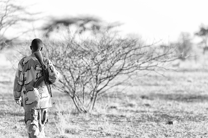 小学生が大学の先生に質問