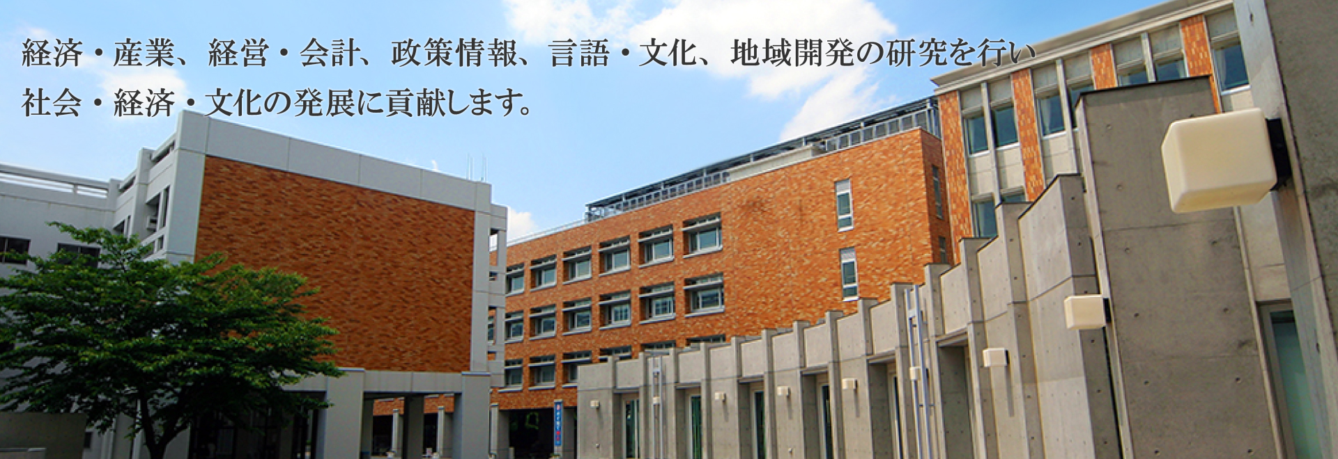 経済・産業、経営・会計、政策情報、言語・文化、地域開発の研究を行い、社会・経済・文化の発展に貢献します。