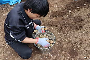 CUC100ワイン・プロジェクト