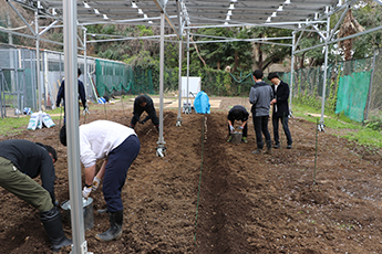 CUC100ワイン・プロジェクト