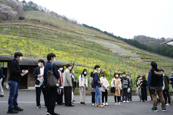 ココ・ファーム見学
