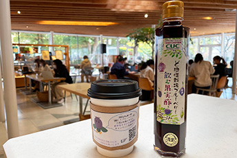 ど根性栽培ブルーベリー飲む果実(フルーツ)酢