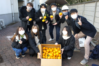 無農薬ジャムの販売