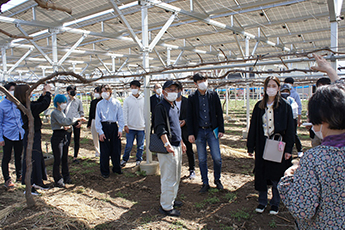 山梨県勝沼での研修