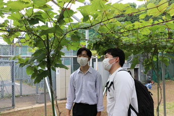 ガーデンパーティー