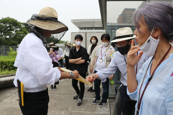 ガーデンパーティー