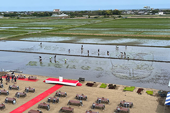 田んぼアート in 山武市