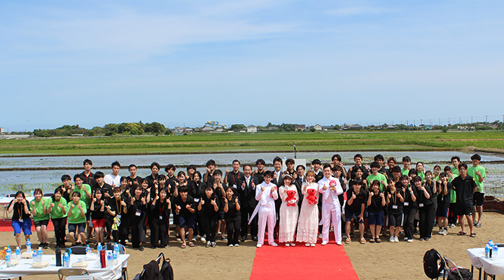 田んぼアート in 山武市