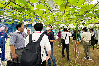 ガーデンパーティー