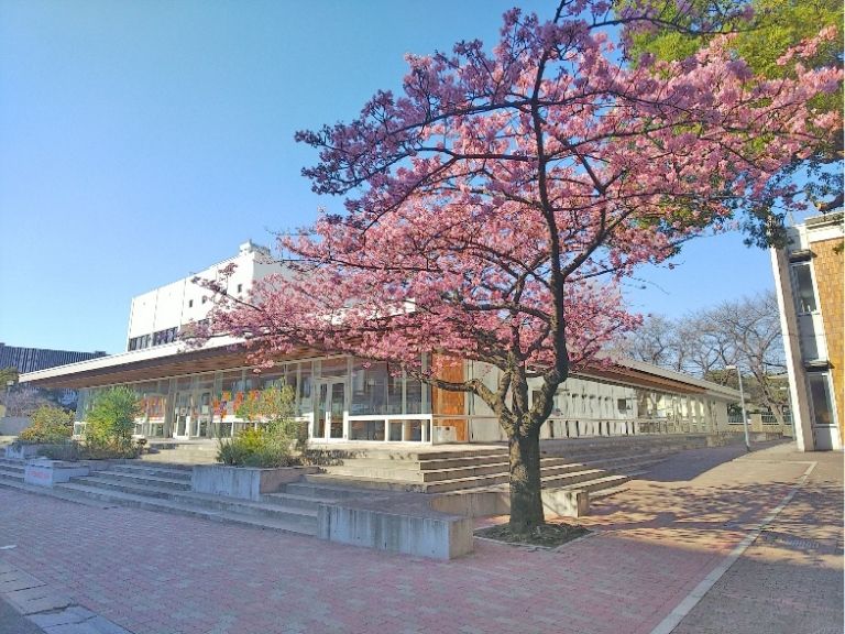 The University DININGと桜
