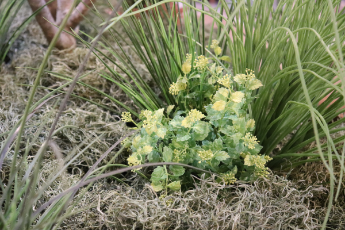 造花