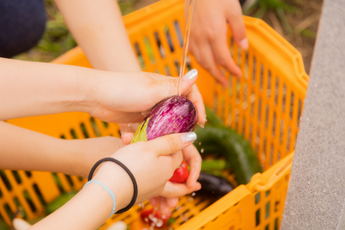 洗っている様子