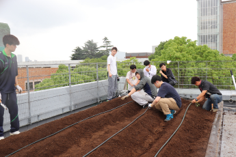 潅水チューブ張り
