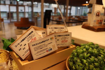 コーヒーの抽出カス