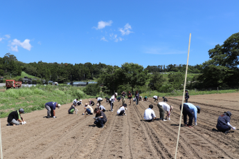 オーガニックファーム