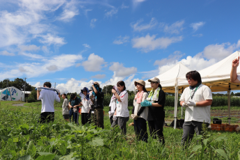 オーガニックファーム