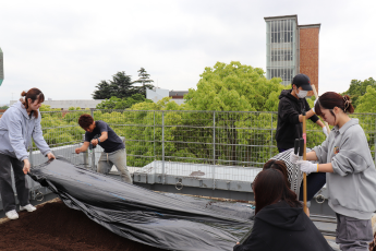 ビニールマルチ