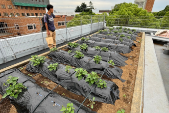 UD FARM