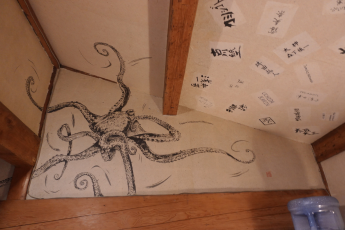 ワラビーランド