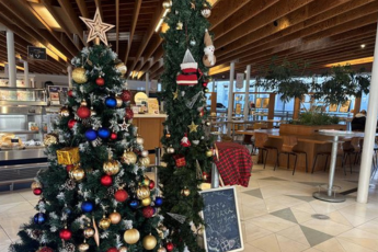 クリスマスツリー