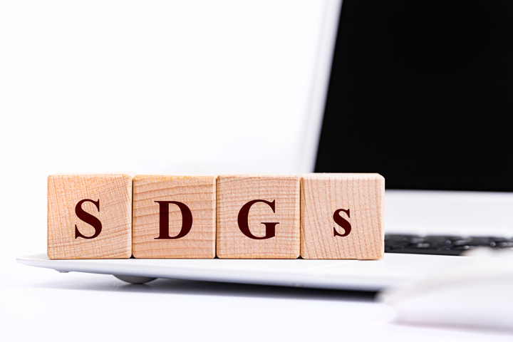 SDGs