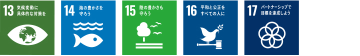 SDGs12～17