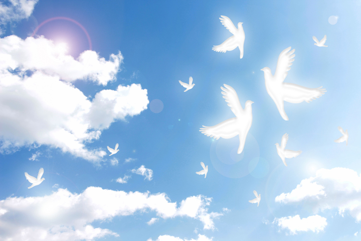 SDGs目標16イメージ