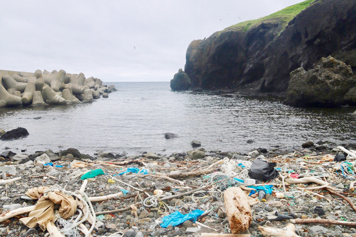 マイクロ プラスチック 問題